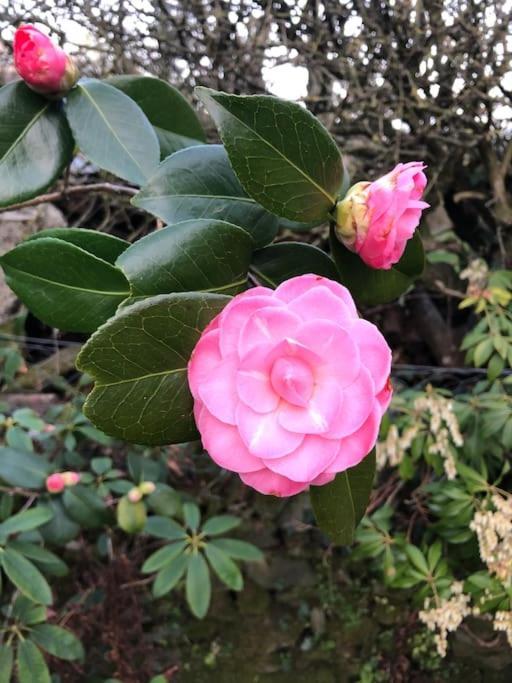 Maisonnette De Charme Les Jardins De Lou Boussac  Buitenkant foto